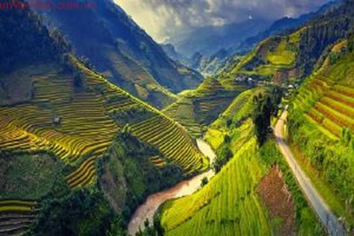Triệu Lộ Tư cắt phăng mái tóc - Cảm hứng video marketing từ Hotspot Matrix