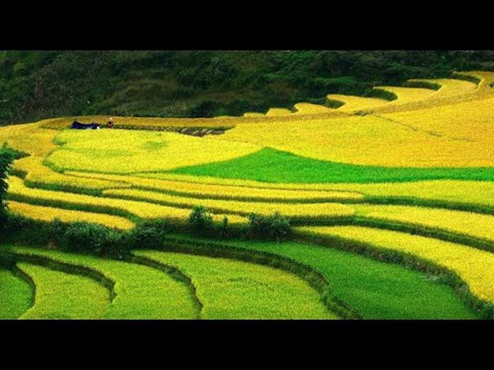 Hotspot Matrix: Nơi đam mê thắp sáng thành công