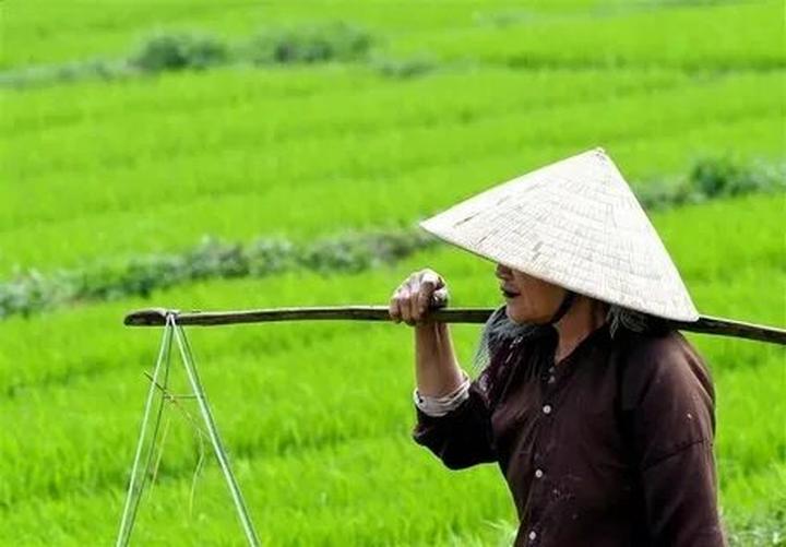 Hotspot Matrix: Đòn Bẩy Tiếp Cận Khách Hàng Cho Người Tư Vấn Tài Chính