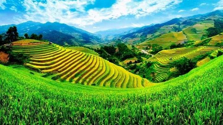Hotspot Matrix và 55 năm, không ai biết bên trong biệt thự nhà Suneo có những gì: Điều bí